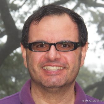Walid Nasrallah photo
