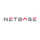 NetBase Solutions logo