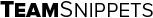 TeamSnippets logo