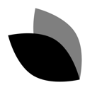 Lotus Eyes logo
