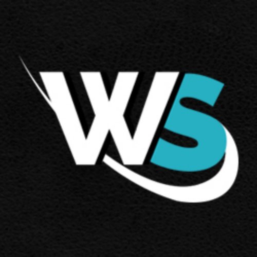 WordSuccor Ltd. logo