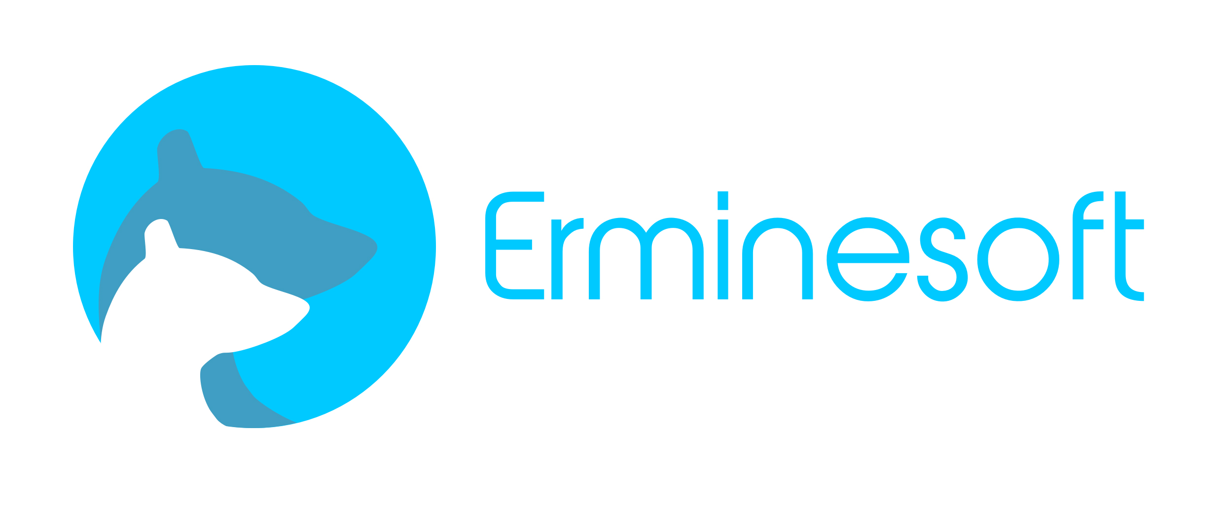 Erminesoft logo
