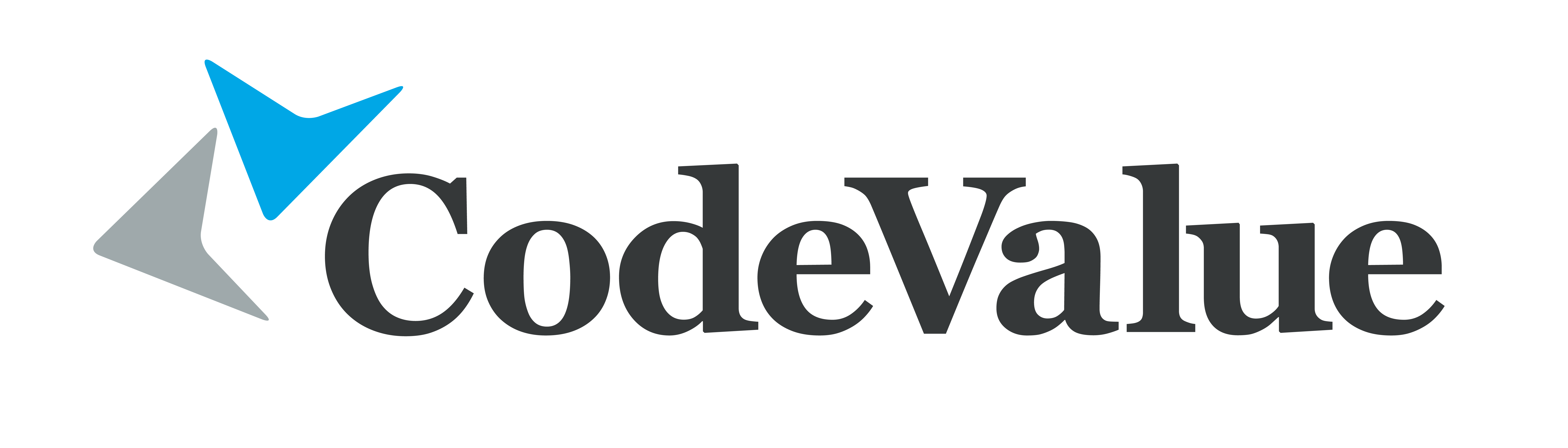 CodeValue logo