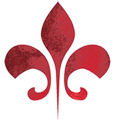 Pyramidion Solutions logo