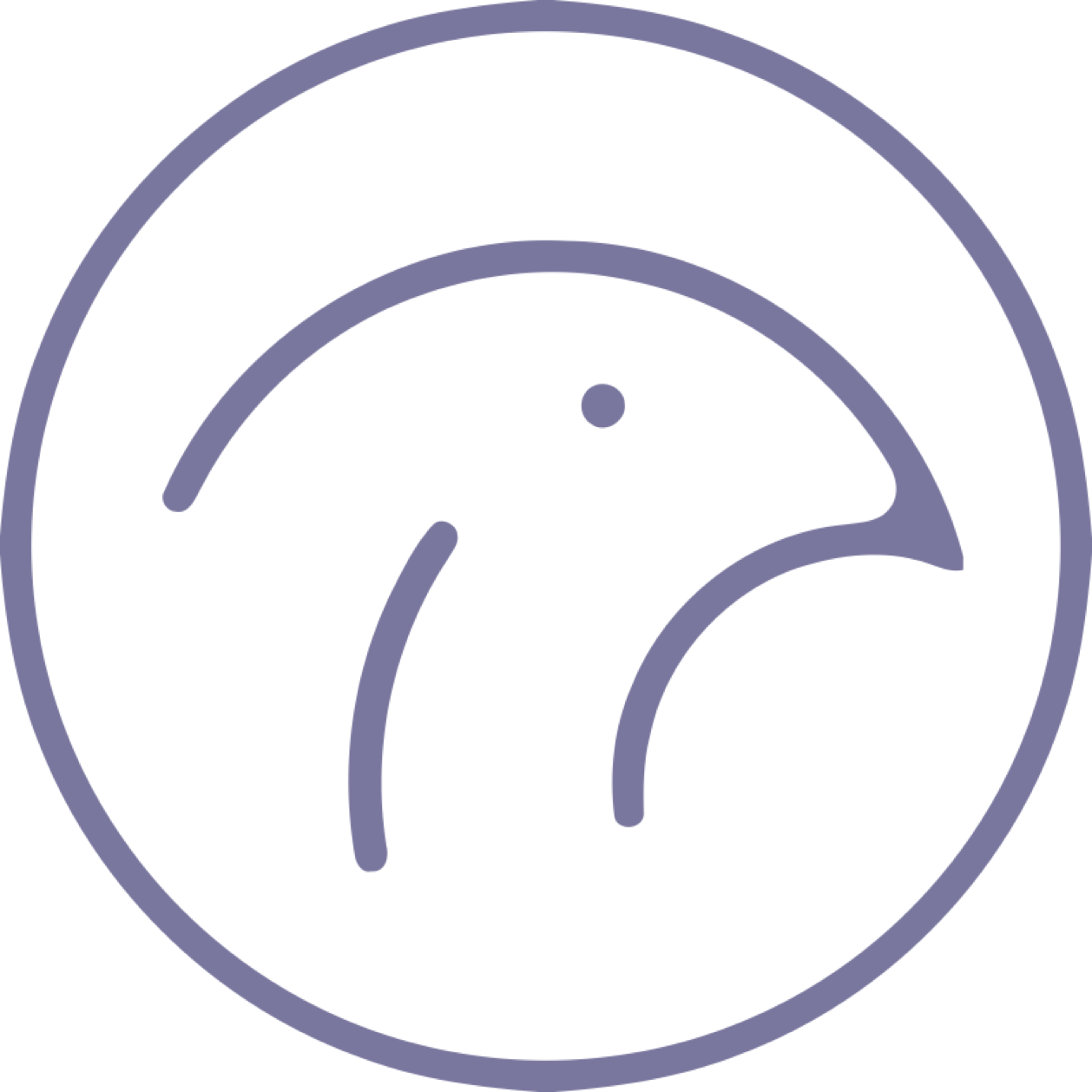 VIPhawk logo