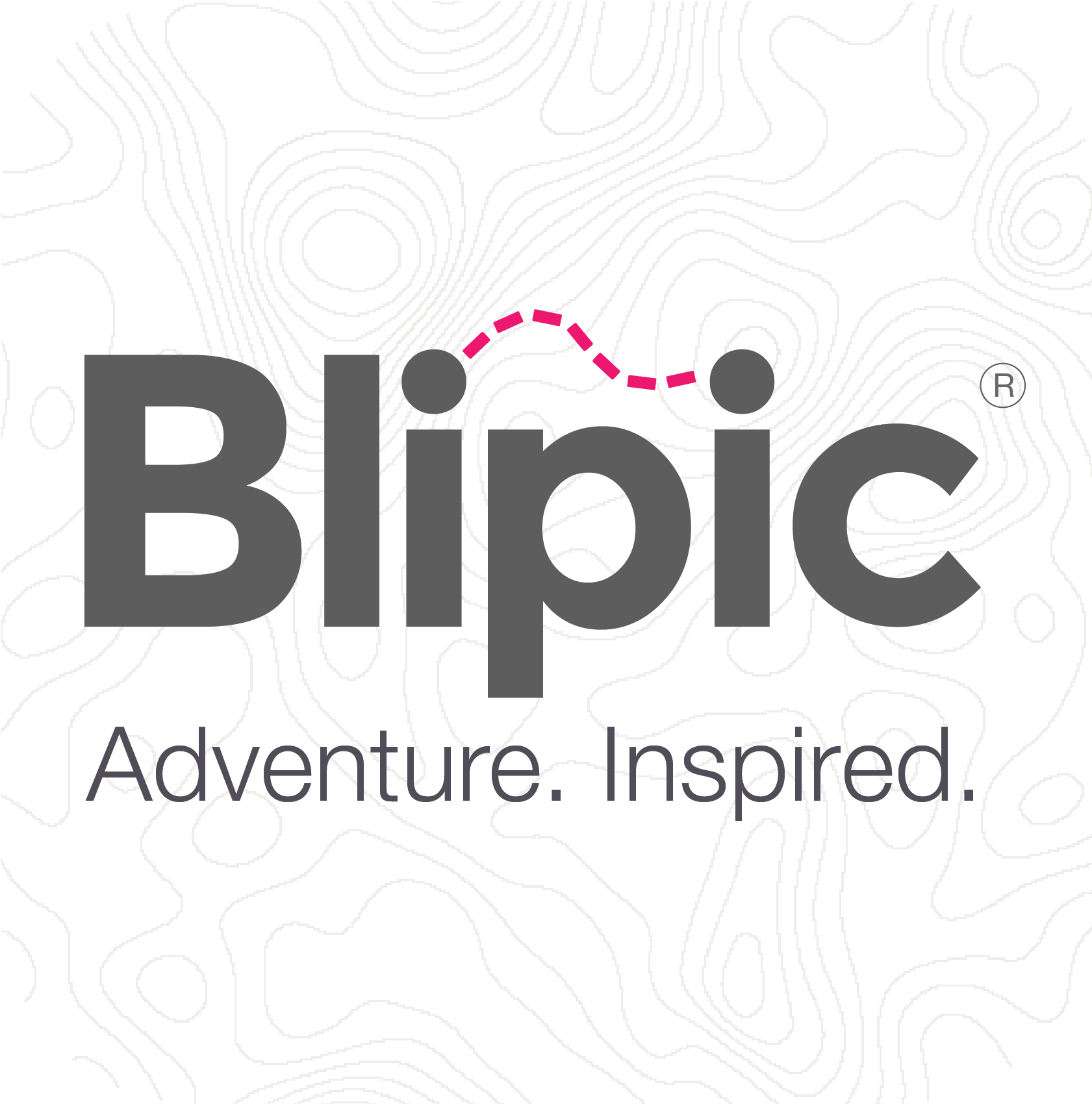 Blipic logo