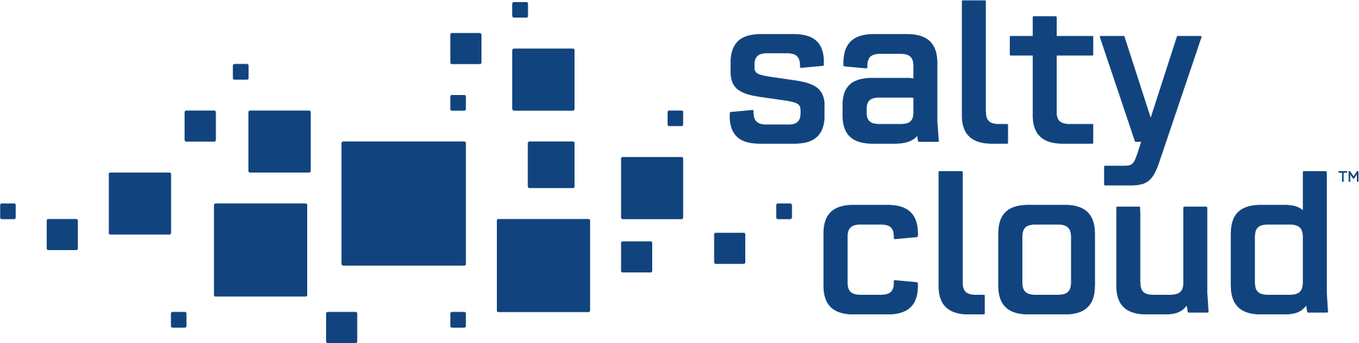Salty Cloud, PBC logo