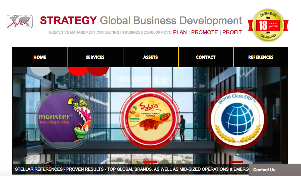 STRATEGY Global Business Development logo