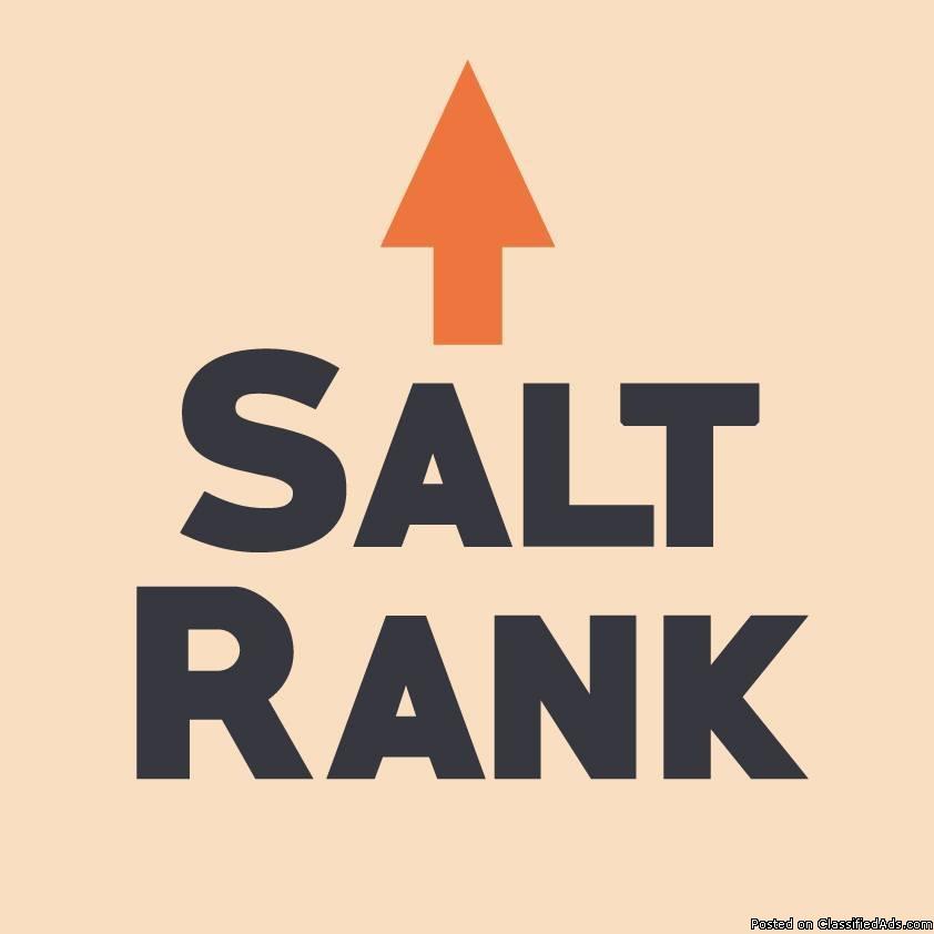 Salt Rank logo