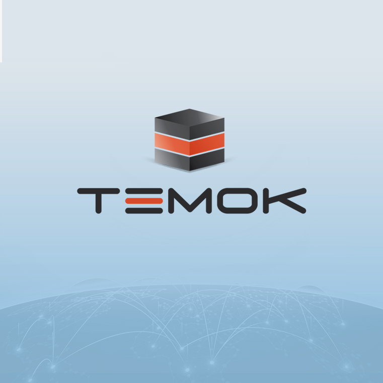 Temok IT Services logo