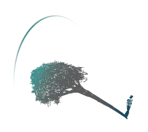 Etymon Psychology Dublin logo