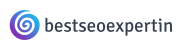 Best SEO Expert In logo