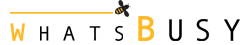 WhatsBusy logo
